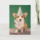 Recherche de animal anniversaire cartes Canine