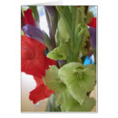 Recherche de gladiola Vert