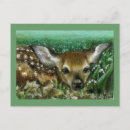 Recherche de faon cartes postales Semer