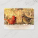 Recherche de oiseaux chanteurs cartes visite Faune