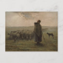 Recherche de troupeau cartes postales Élevage