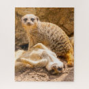 Recherche de meerkat puzzles Zoo