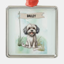 Recherche de petit chien ornements Toute personne