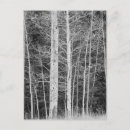 Recherche de cadre noir cartes postales Photographie