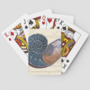 Recherche de coquilles jeux de cartes Plage