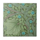 Recherche de mouvement carreaux William morris