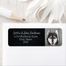 Recherche de siberian husky Return address
