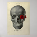Recherche de tête crâne posters Fleurs