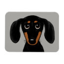 Recherche de short magnets Mignon