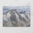 Recherche de aiguille cartes postales France