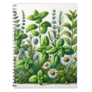 Recherche de aromatique Jardin