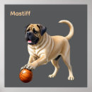 Recherche de mastiff anglais posters Pour tous
