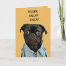 Recherche de humour carlin vœux cartes Animal