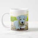 Recherche de chaton chiot tasses Animal