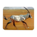 Recherche de 2010 magnets Animal sauvage
