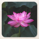 Recherche de fleur lotus de dessous de verres Floral