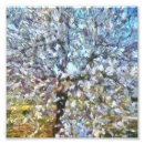 Recherche de pointu art Blanc
