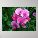 Recherche de dehors posters Floral