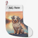 Recherche de bergers chaussette de noël Dogs