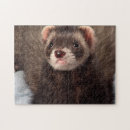 Recherche de ferret puzzles Pour tous