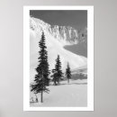 Recherche de glissière posters Photographie