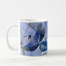 Recherche de geai bleu tasses Oiseau