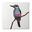 Recherche de sucre carreaux Animaux