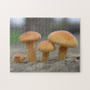 Recherche de minuscule puzzles Champignon