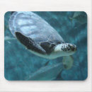 Recherche de nage tapis souris Baignade