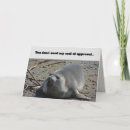 Recherche de phoques vœux cartes Phoque éléphant