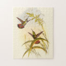 Recherche de colibris puzzles Oiseau