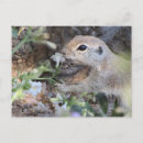 Recherche de ronde cartes postales Ami