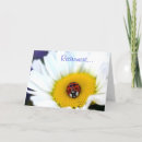 Recherche de carrière cartes postales Collègue