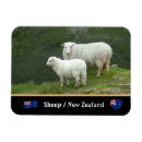 Recherche de alimentation magnets Voyage