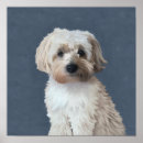 Recherche de race chien posters Propriétaire de chien