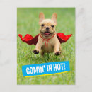 Recherche de superhéros cartes postales Cape