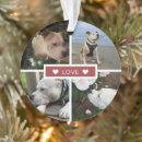 Recherche de ornamente animaux mémoriaux Pour tous