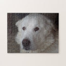 Recherche de beau chien puzzles Grand
