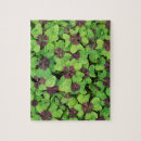 Recherche de st patricks day puzzles Chanceux