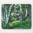 Recherche de arbre bouleau tapis souris Feuille