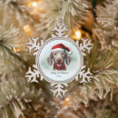 Recherche de weimaraner ornements Dog