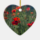Recherche de coquelicot ornements Pavot