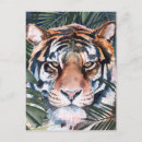 Recherche de chats tigrés cartes postales Aquarelle