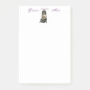 Recherche de berger belge posters Chiot