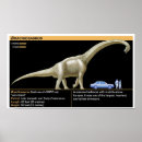 Recherche de brachiosaurus posters Jurassique