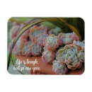 Recherche de boule de neige magnets Nature