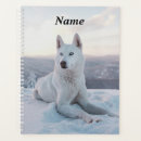 Recherche de hiver bureau fournitures Chiot