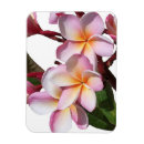 Recherche de plumeria magnets Rose