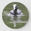 Recherche de oiseau noir et blanc horloges Animaux