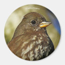 Recherche de soie magnets Oiseau